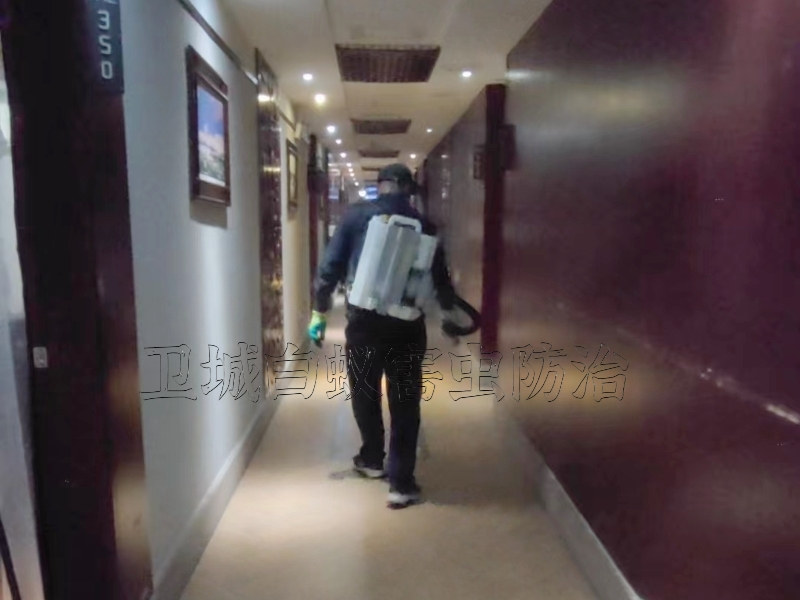 东莞杀臭虫灭跳蚤公司,东莞灭鼠公司(卫城虫控)