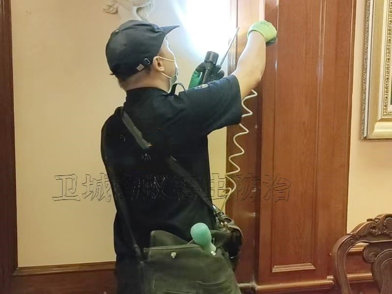 东莞凤岗家居白蚁防治-凤岗家庭上门灭除白蚁公司-卫城专业技师团队携高端白蚁检测设备上门检测治理