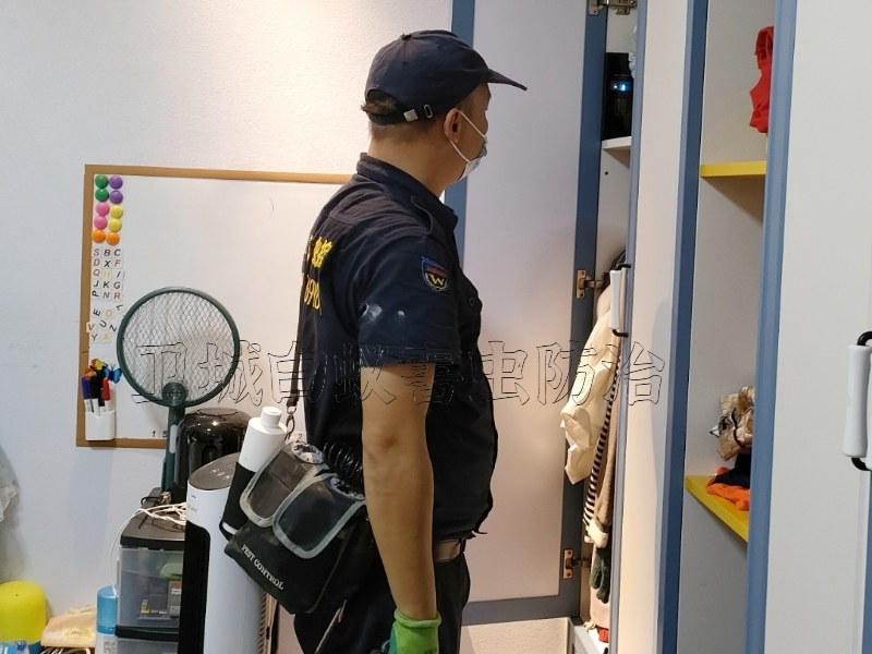 东莞企石家居白蚁防治-企石家庭上门灭除白蚁公司-卫城专业技师团队携高端白蚁检测设备上门检测治理