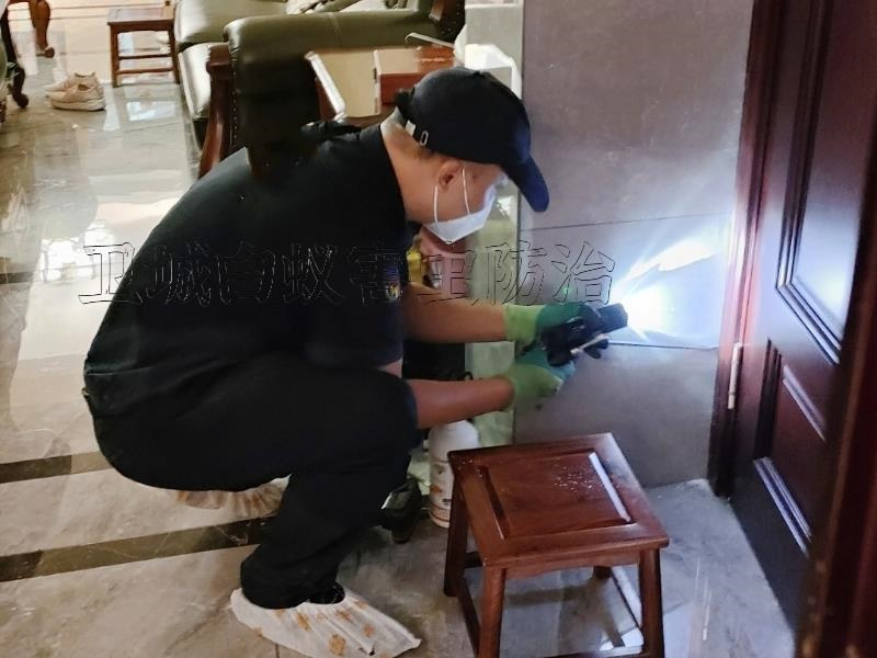 深圳市光明白蚁防治中心,光明灭白蚁公司
